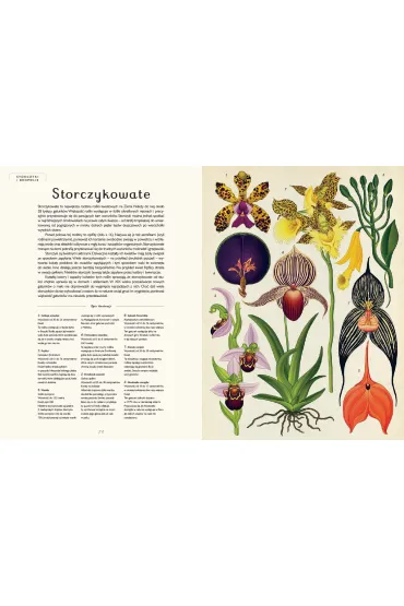 Botanicum. Muzeum Ro�lin - Kathy Willis