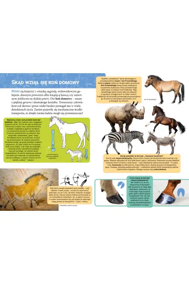 Ma�a encyklopedia. Konie - Monika  �lizowska