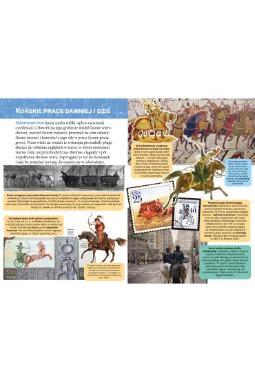 Ma�a encyklopedia. Konie - Monika  �lizowska