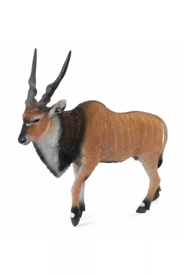 Antylopa olbrzymia eland