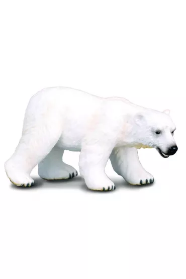 Nied�wied� polarny