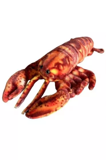 Homar 28cm Dubi