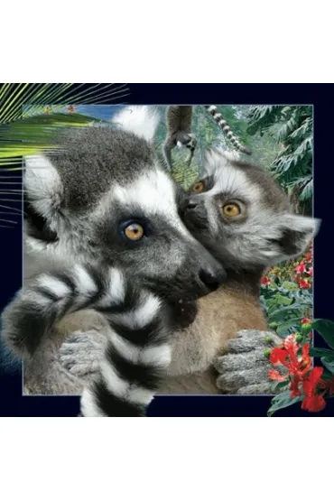 Worth Keeping Poczt�wka 3D Lemur