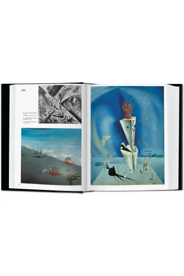 Dali. The Paintings wer. angielska - Robert Descharnes, Gilles N�ret
