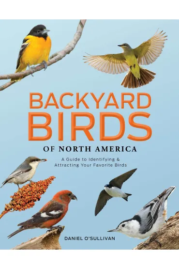 Backyard Birds of North America - Daniel O Sullivan
