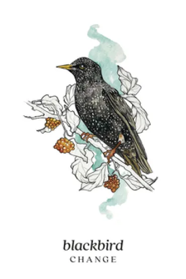 Winterseer Animal Oracle, karty - Siolo Thompson