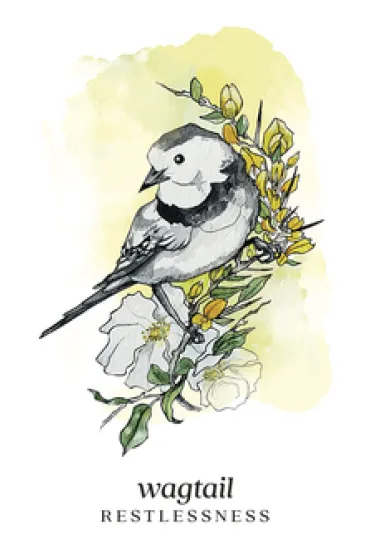Winterseer Animal Oracle, karty - Siolo Thompson