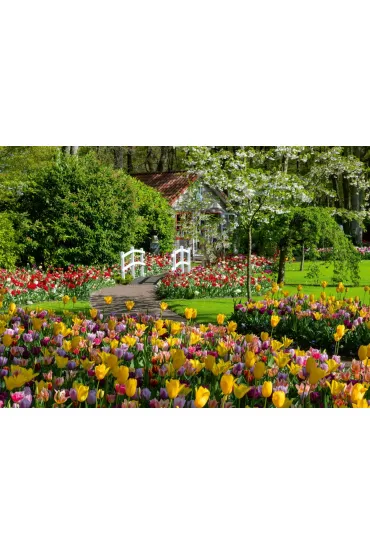 Puzzle 1000 el. Ogrody Keukenhof Ravensburger