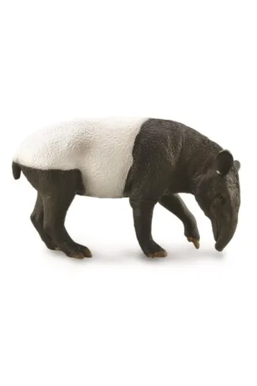 Malayan Tapir