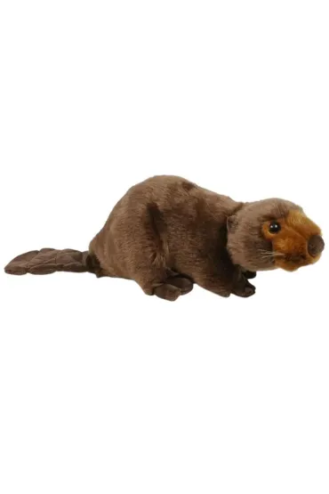 B�br 26cm Dubi