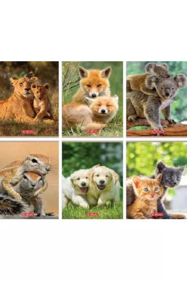 Herlitz Zeszyt A5 Animals dwie linie 16 kartek 10 szt.