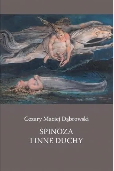 Spinoza i inne duchy - Cezary Maciej D�browski