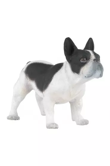 Buldog francuski