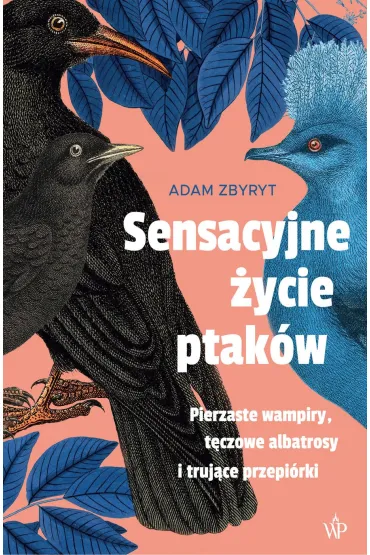 eBook Sensacyjne �ycie ptak�w mobi epub - Adam  Zbyryt