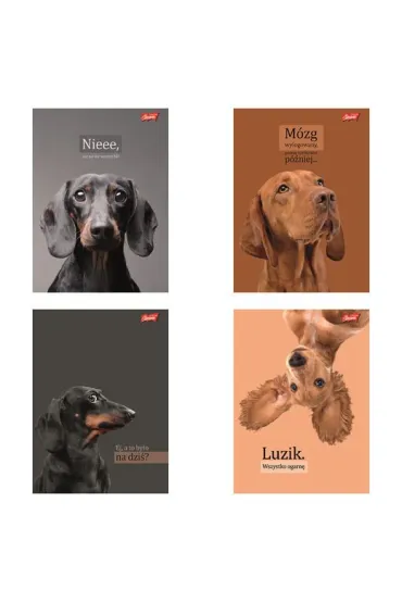 St. Majewski Zeszyt A5 60 kartek linia. Ok�adka laminowana lakier miejscowy UV 70 g/m2. Doggy Moods