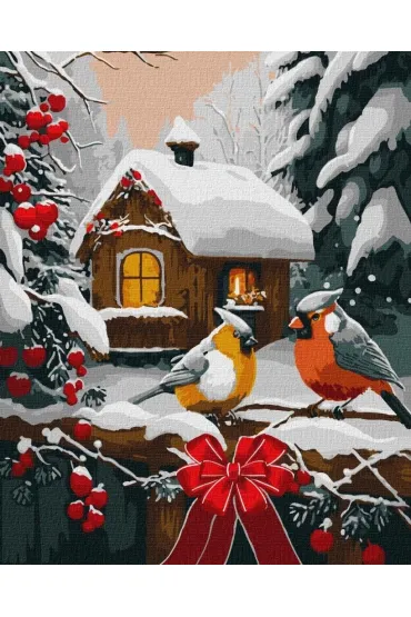 Ideyka Malowanie po numerach - �nie�na bajka 40x50cm