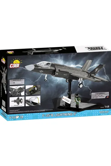 Armed Forces. F-35B(R) Lightning II