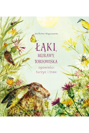 ��ki, murawy, torfowiska. Opowie�ci turzyc i traw - Jolanta  Richter-Magnuszewska