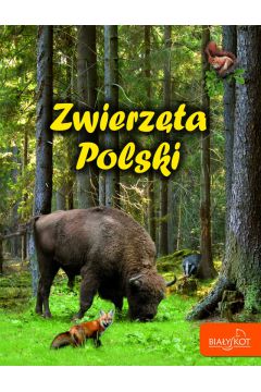 Zwierzta Polski