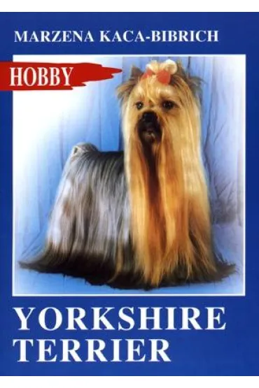 Yorkshire terrier - Marzena Kaca-Bibrich