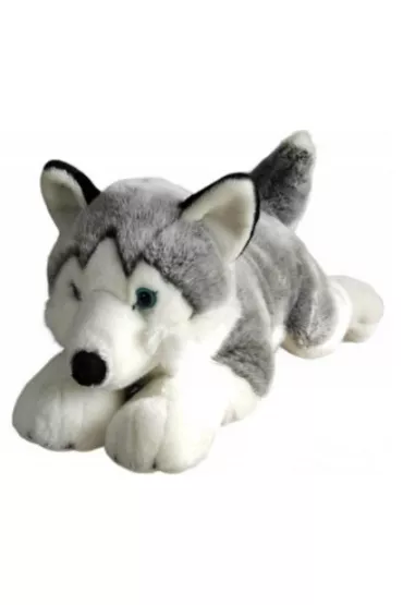 Husky 62cm Dubi