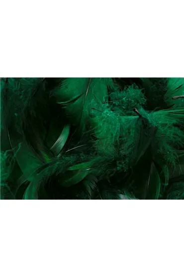 Pogotowie Florystyczno �lubne Pi�rka w torebce foliowej 15g