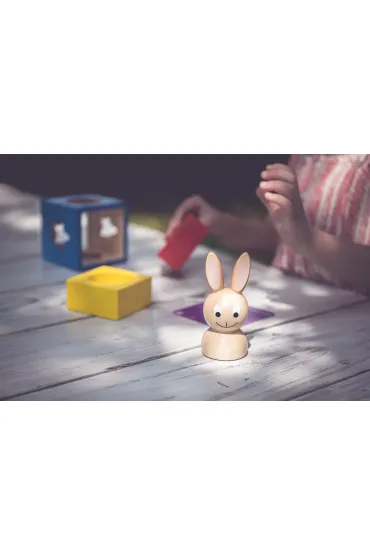 Smart Games. Kr�liczek (PL) IUVI Games