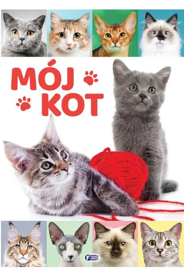 M�j kot