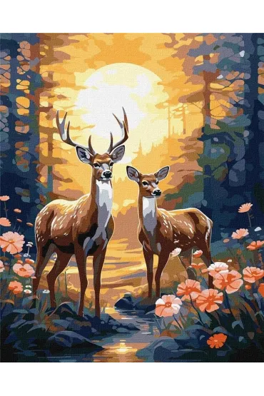 Ideyka Malowanie po numerach - Wdzi�czny jele� 40x50cm