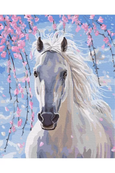 Twoje Hobby Malowanie po numerach - Bia�y ko� 40x50cm