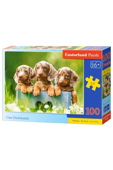 Puzzle 100 el. Urocze jamniki Castorland