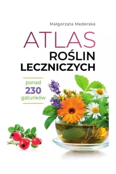 Atlas ro�lin leczniczych - Ma�gorzata Mederska