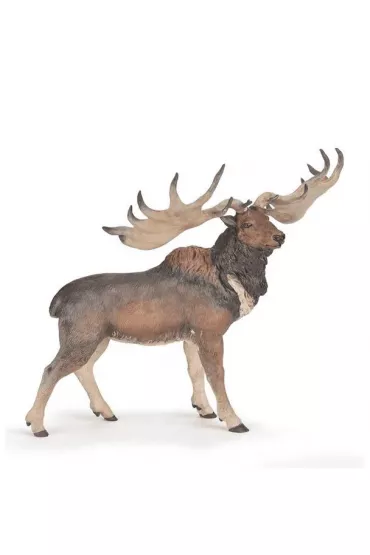 Megaloceros