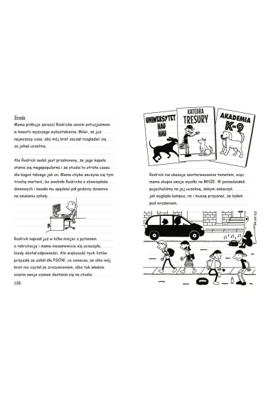 Ryzyk-fizyk. Dziennik Cwaniaczka. Tom 11 - Jeff Kinney