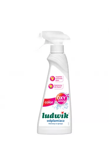 Ludwik Odplamiacz tlenowy w piance do tkanin kolorowych Color 250 ml