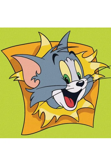Ideyka Malowanie po numerach - Tom i Jerry 25x25cm