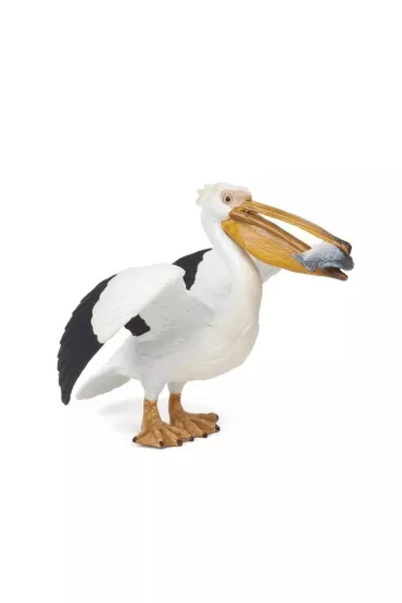 Pelikan