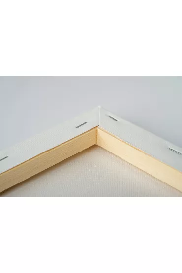 Twoje Hobby Malowanie po numerach - Ognisty biegacz 40x50cm