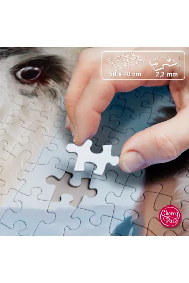 Puzzle 1000 el. Friends Forever CherryPazzi