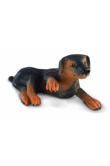 COLLECTA PIES SZCZENIE DOBERMANA ROZMIAR S