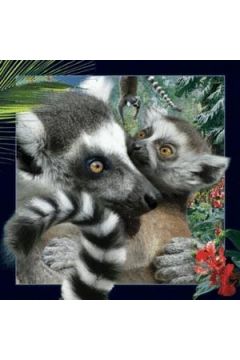 Magnes 3D Lemur