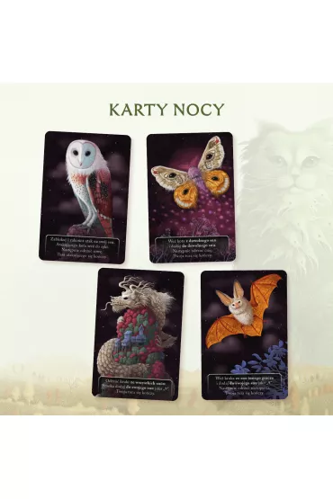 Koty - Vincent  Joassin