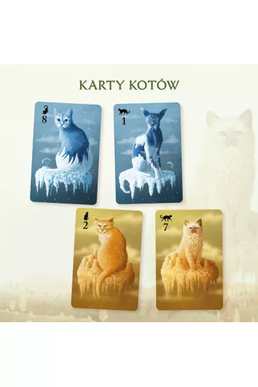 Koty - Vincent  Joassin