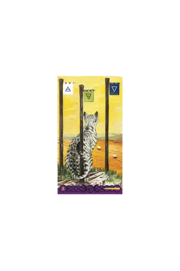 Tarot Of Pagan Cats, karty do wr�enia