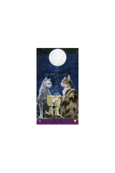 Tarot Of Pagan Cats, karty do wr�enia