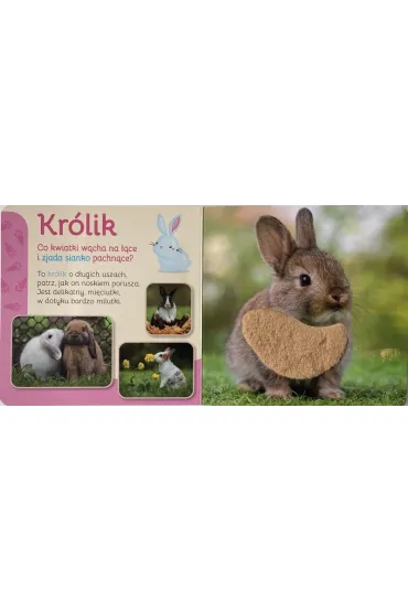 Pupile. Przytul mnie - Natalia Kawa�ko-Dzikowska