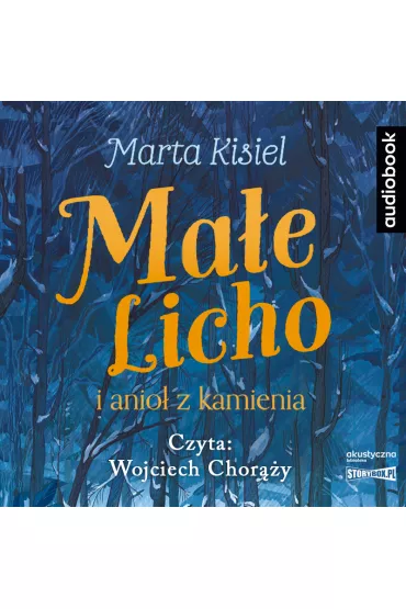 Audiobook Ma�e Licho i anio� z kamienia CD - Marta Kisiel