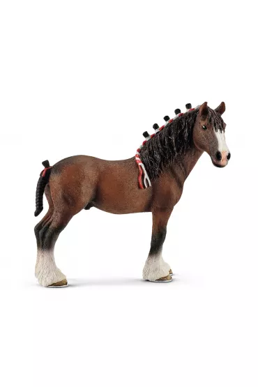Wa�ach rasy Clydesdale
