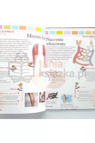 Na �cie�kach wiedzy. Encyklopedia. 100 Cz�ci cia�a - Krzysztof J�drzejewski
