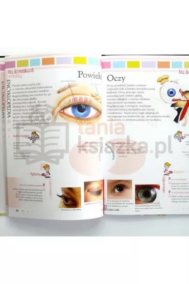 Na �cie�kach wiedzy. Encyklopedia. 100 Cz�ci cia�a - Krzysztof J�drzejewski